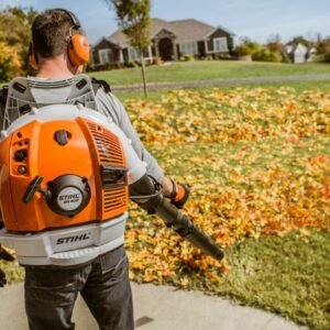 Soplador de mochila a gasolina BR 600  profesional